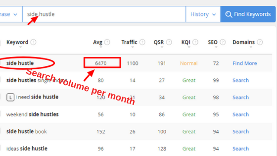 how to find a niche, what is a niche, side hustle kw result