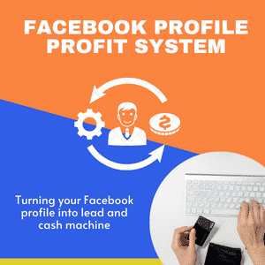 Facebook profile profit system