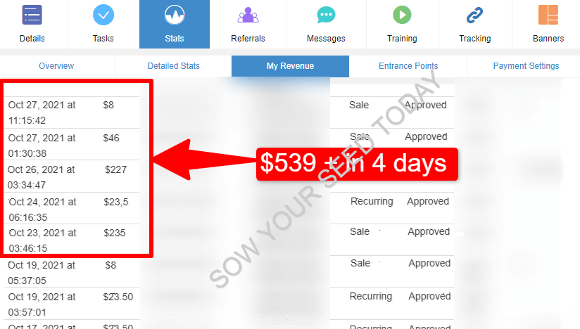 How does affiliate marketing work - affiliate payment proof
