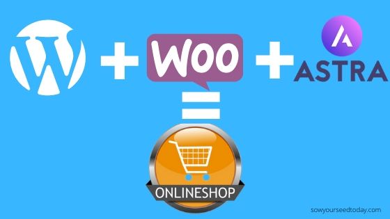 How to build a successful ecommerce website with WordPress