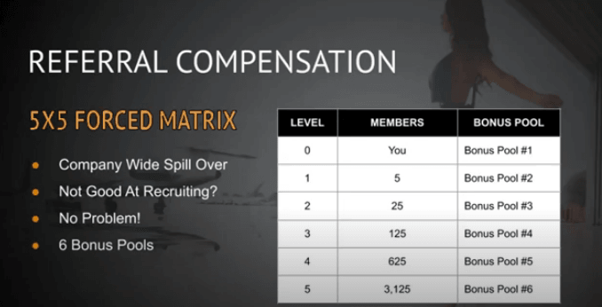 Lifestyle Marketing Group review: their 5x5 forced matrix compensation plan