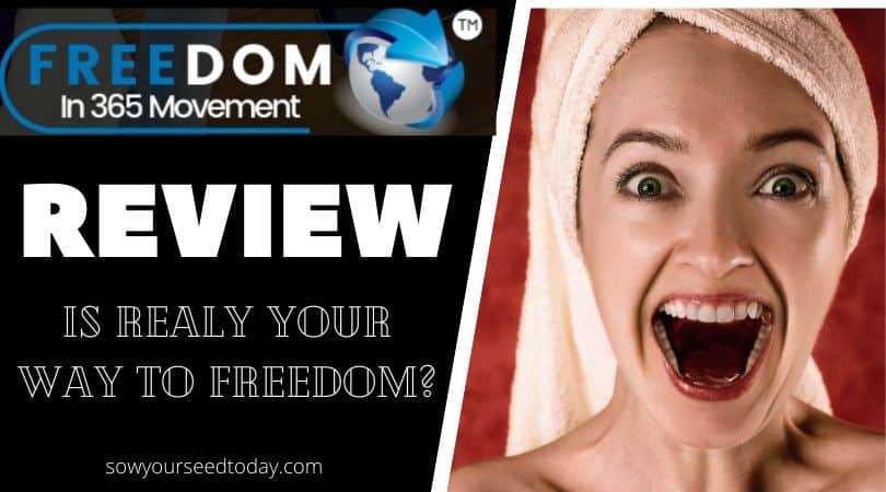 my freedom In 365 review