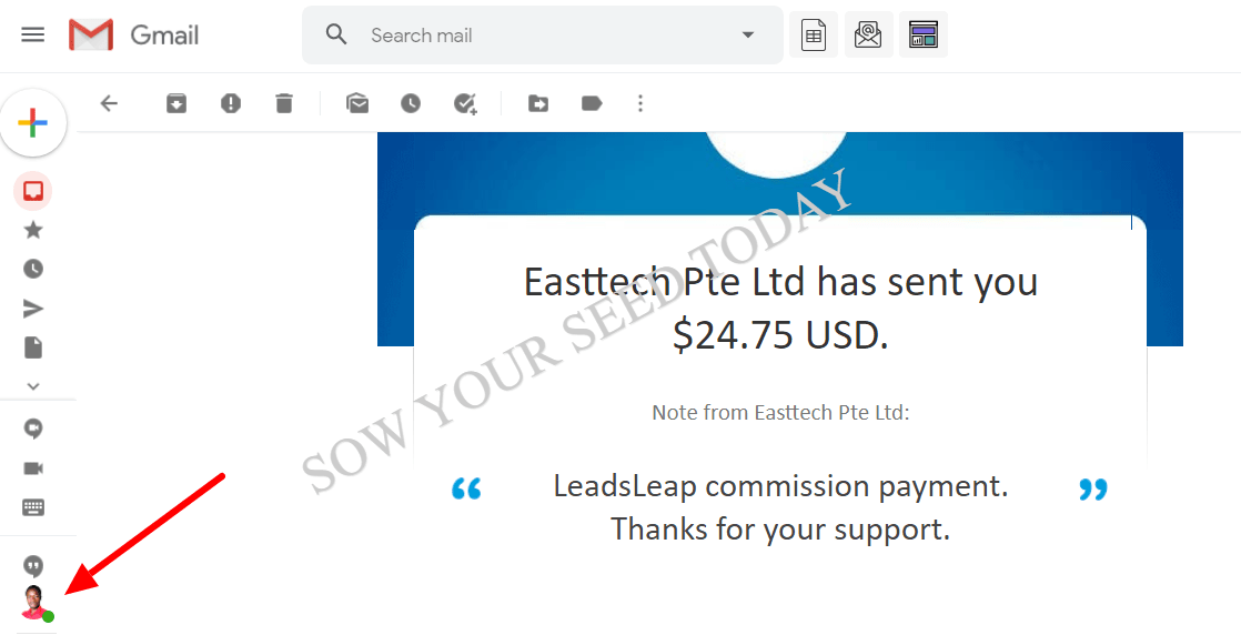 Leadsleap income proof