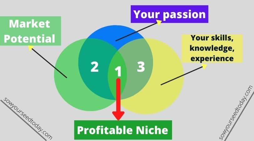 Profitable niche choice process