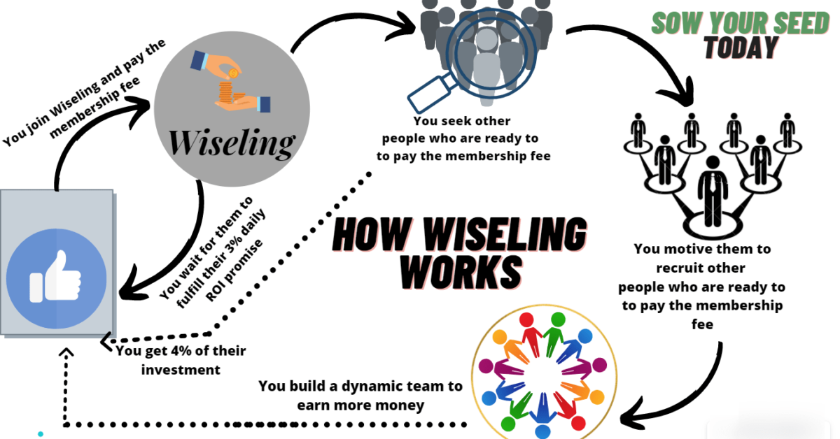 Wiseling review - the way it works