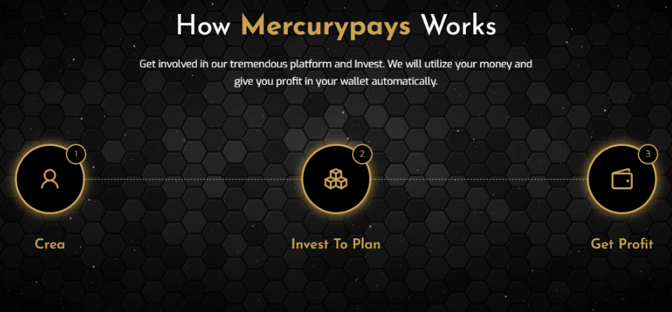 MercuryPays review