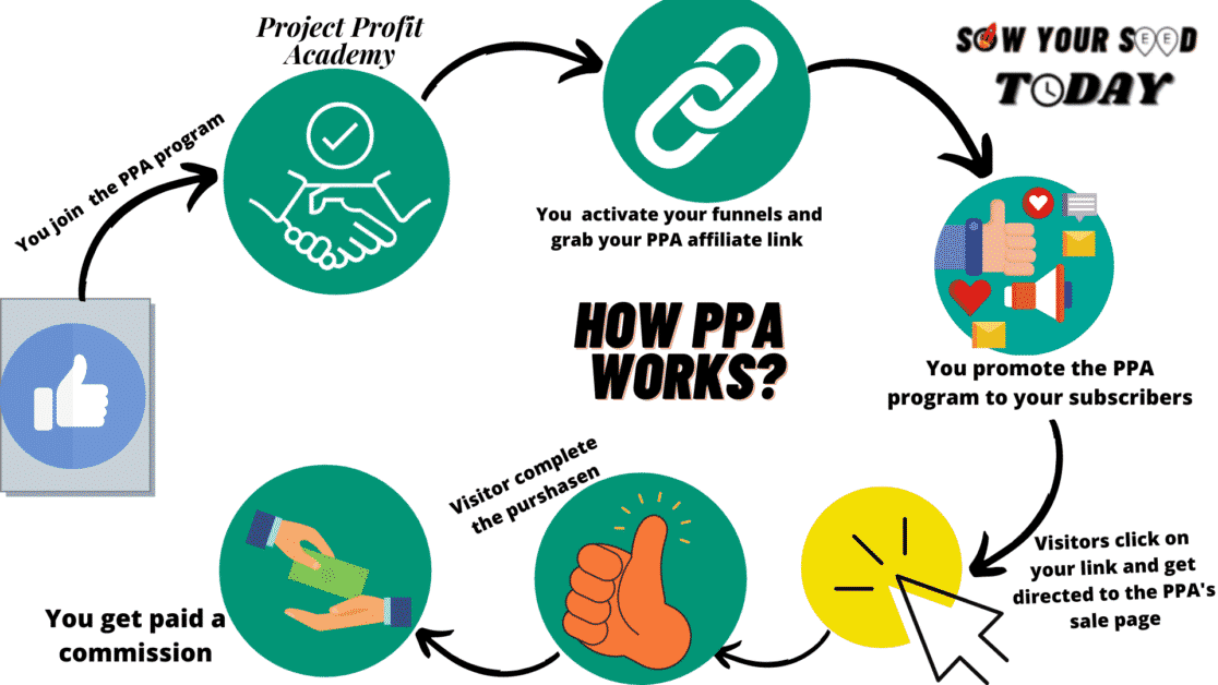 How Project Profit Academy works