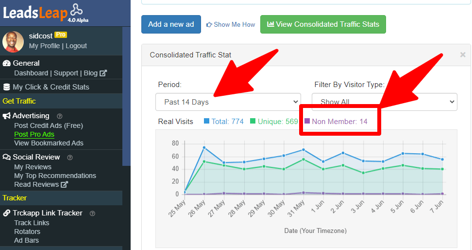 Is LeadsLeap a scam - 14 days traffic stats