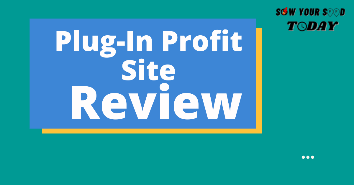 Plug-In Profit Site review