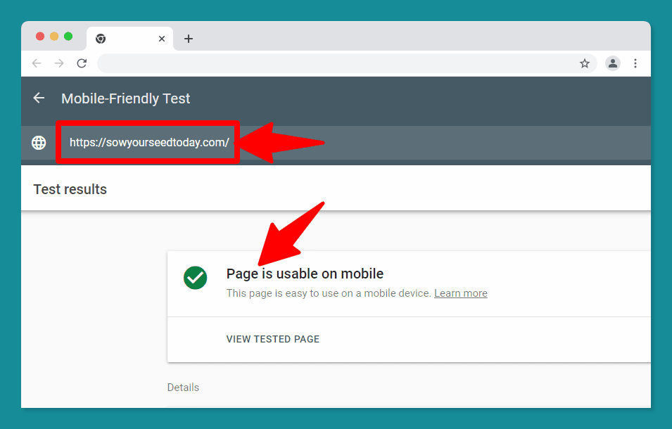 Mobile-friendly test check